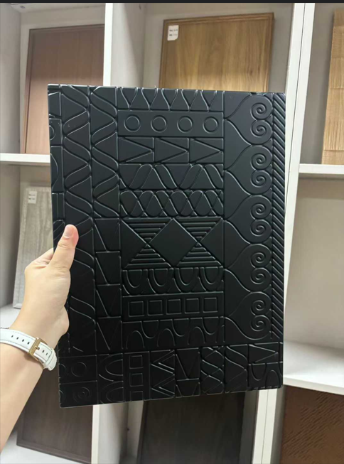 U Chengduu je uspješno održana 3. Team-building konferencija boja budućnosti.